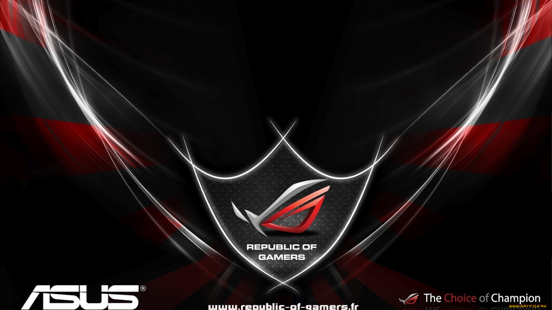 , asus, , 